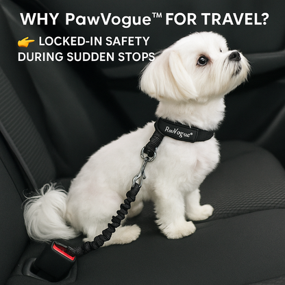 PawVogue dog car seat belt for travel safety