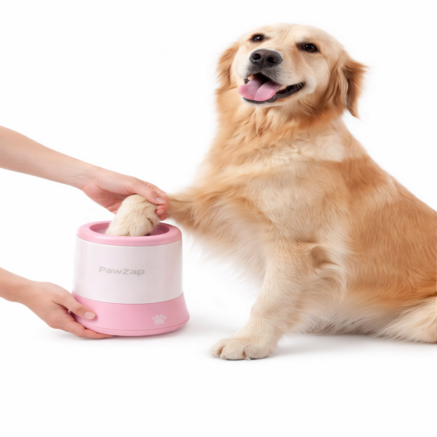 Dog interacting with a pink pet toy on a white background