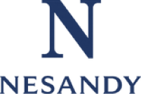 nesandy.com