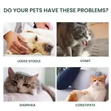 Dog & Cat Immunity Drops