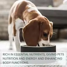 Dog & Cat Immunity Drops
