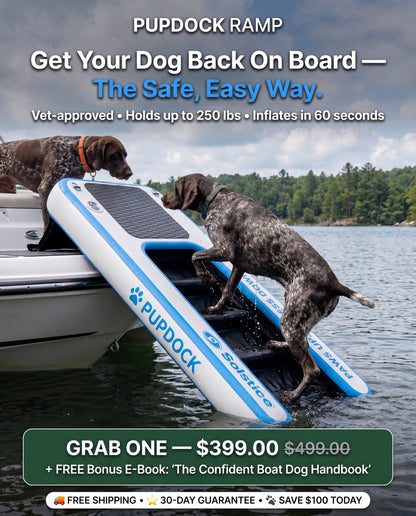 PupDock Ramp – Inflatable Dog Boat Ramp