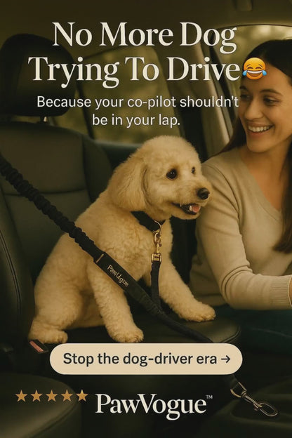 PawVogue™ Dog Car Seat Belt – Heavy Duty Travel Safety